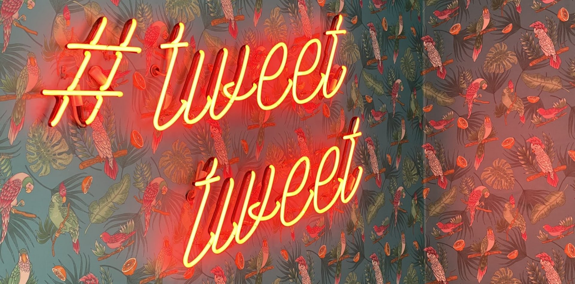 , Twitter débarque en 2021 et on est vraiment contents!, Agence Minimal